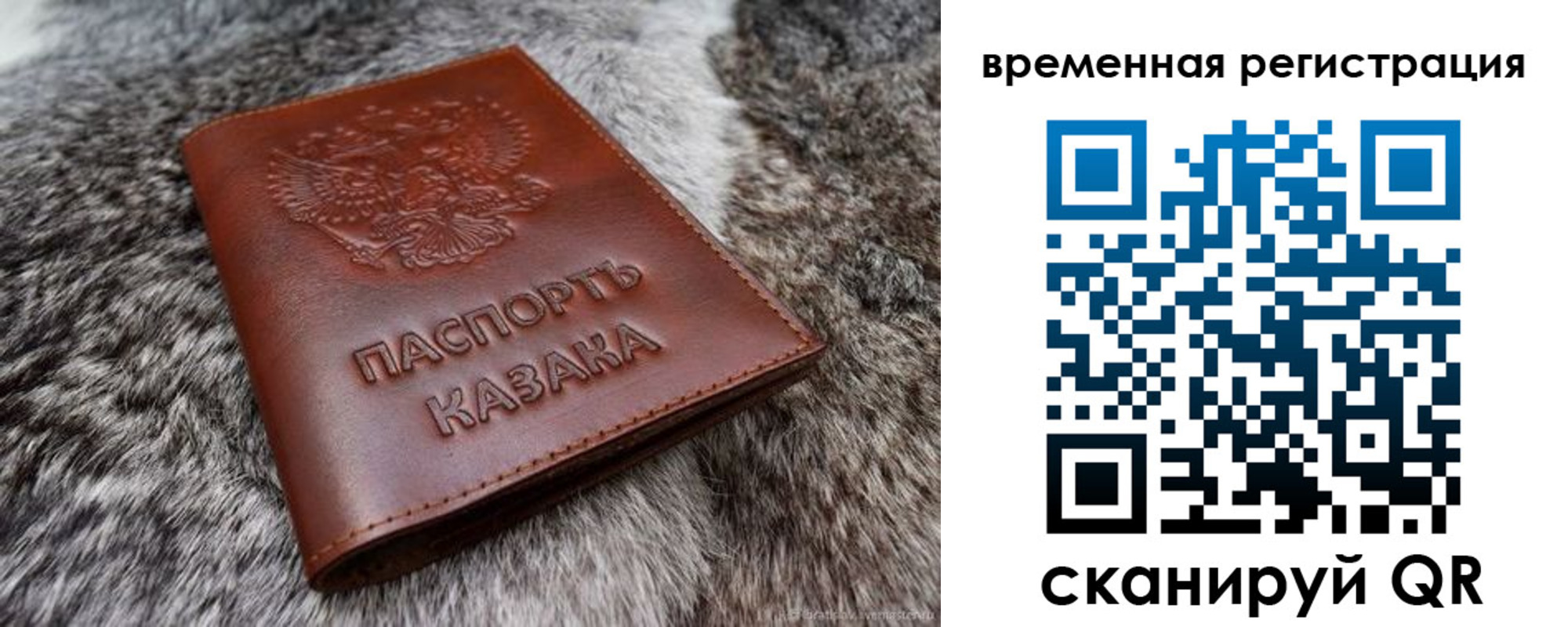 прописка 2025 в Гусь-Хрустальном